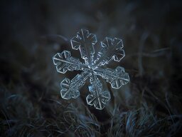 Одинокая снежинка