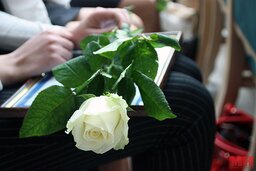 IMG_2774 copy