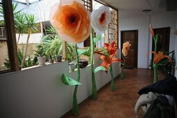 IMG_8401