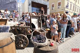 img7769-copy