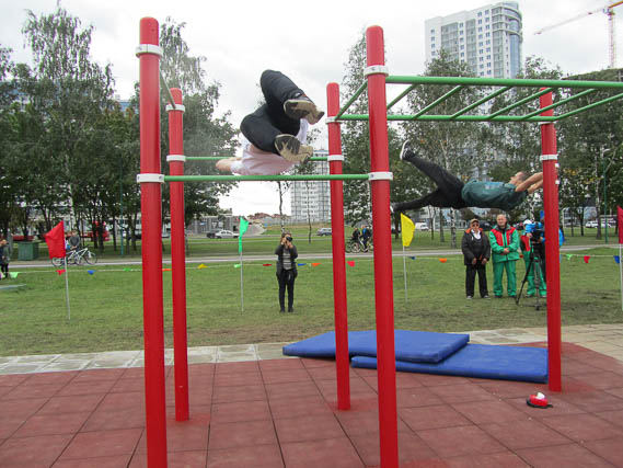IMG 4685