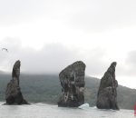 img 1290 copy