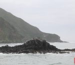img 1390 copy