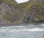 img 1420 copy