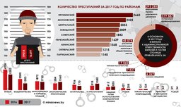 Какие преступления совершаются в Минске чаще всего 1 Prestupleniya e1519976492318