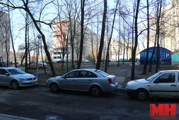IMG 7340 copy