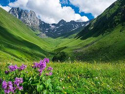 georgia mountain chaukhi
