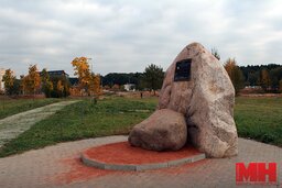 IMG 1118 copy 1
