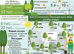 derevya 01