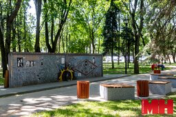 Как изменился облик скверов возле стадиона «Динамо» 6 Pavel Rusak 15 of 25