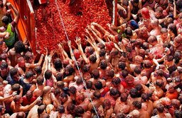 tomatina 4 e1567004542615