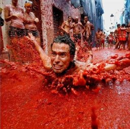 tomatina 5 e1567004601241