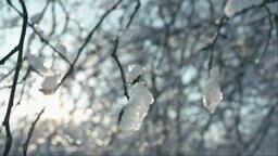 depositphotos 184915376 stock video melting pieces of snow on