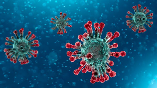 koronavirus 2