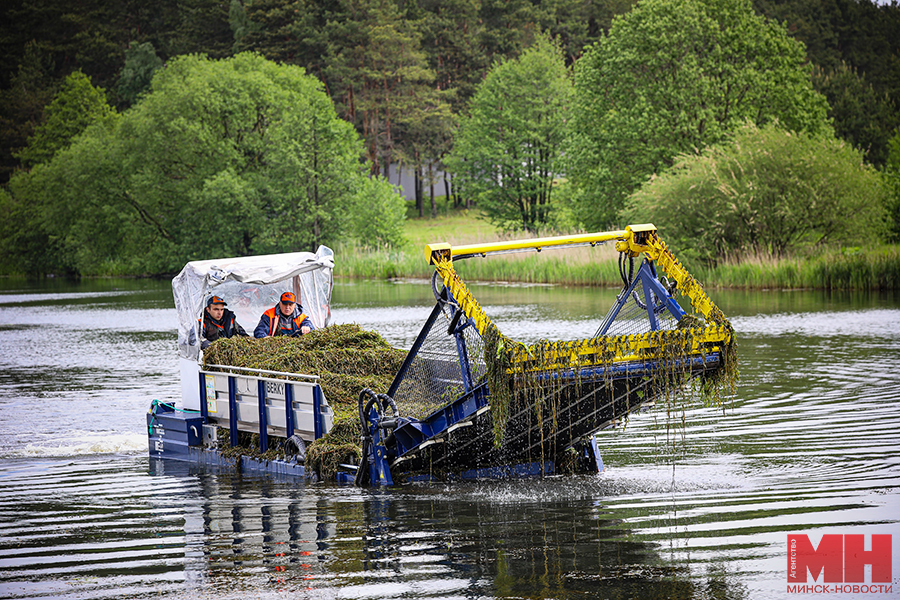 покос водорослей