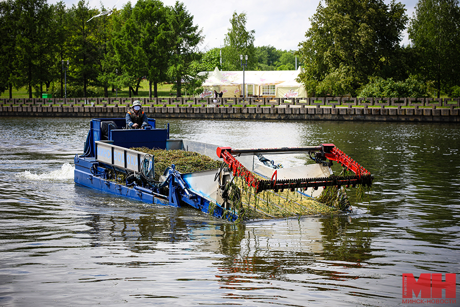 покос водорослей