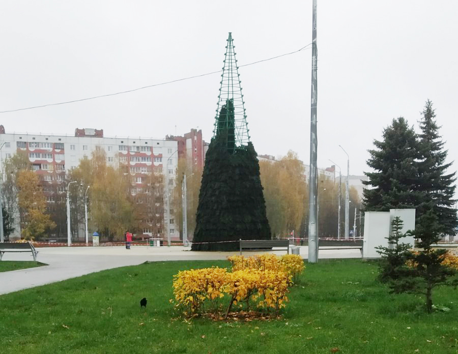 Ели минск. В Минске поставили елку на улице Столетова.