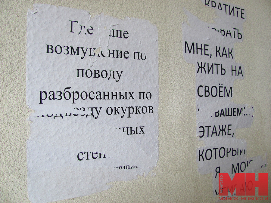 IMG 8951 1