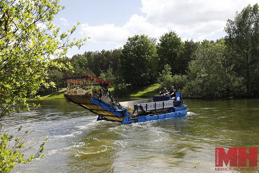 покос водорослей