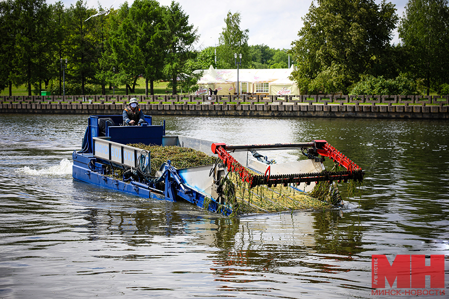 покос водорослей