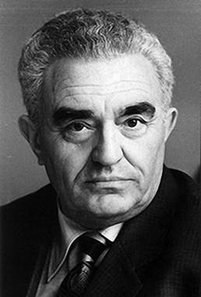 Vladimir Merkin