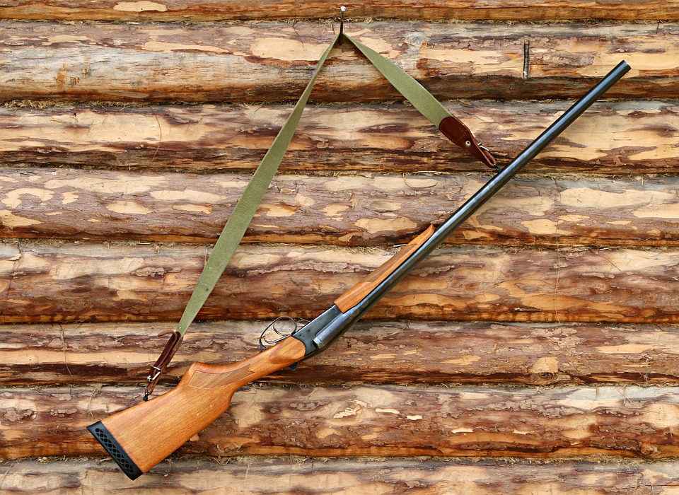 shotgun 1503130 960 720