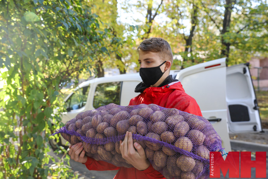 волонтер