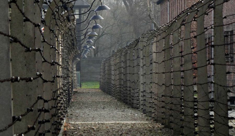 auschwitz g382625163 1920
