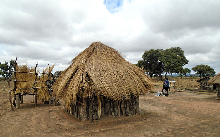 Zimbabvijskaya hizhina