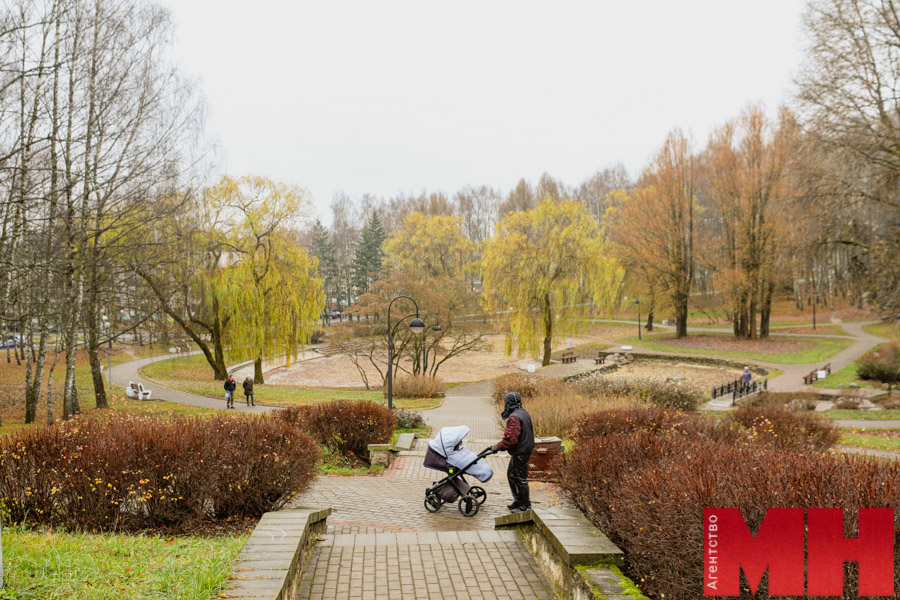 осень погода парк