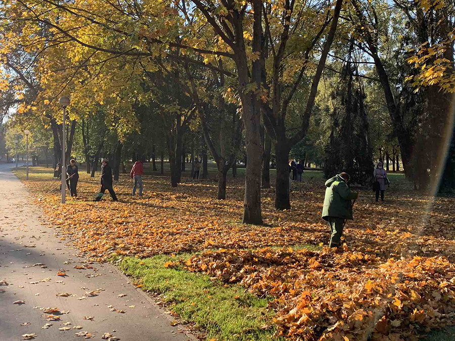Зеленстрой партизанского. Зеленстрой партизанского
