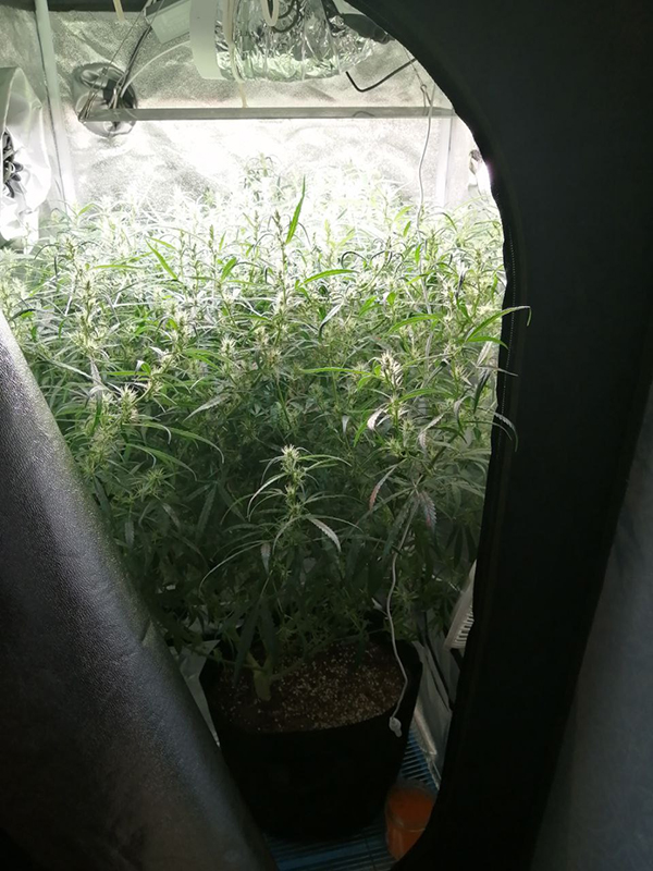 photo 2021 12 15 11 07 43