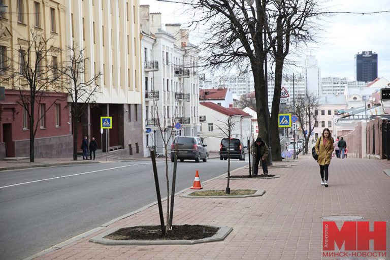 минск погода весна деревья