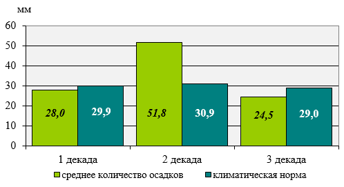 Белгидромет: «Осадков в июле выпало выше нормы» 3 3 1