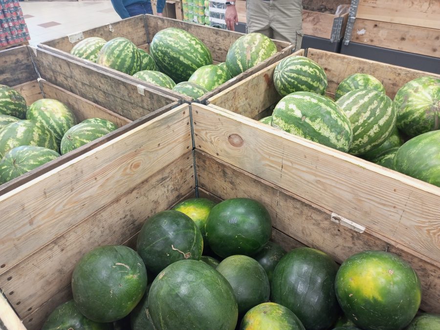 «Арбузов и дынь хватит всем!» В каких продуктовых магазинах Минска можно купить бахчевые, и сколько они стоят 6 foto 5 e1660309529354