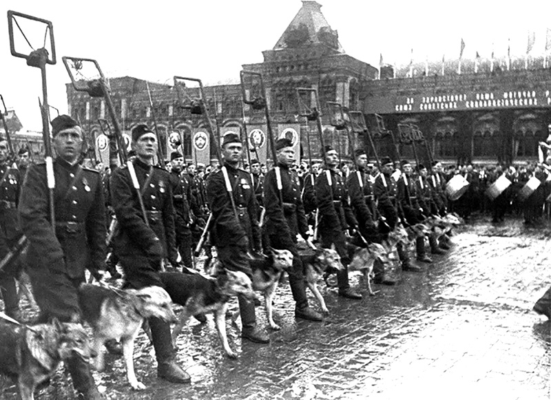 parad 24 iyunya 1941