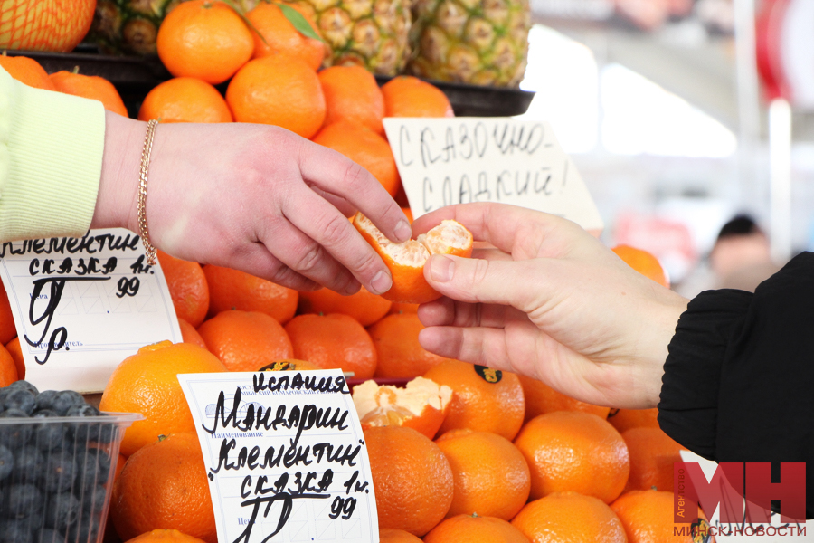 gorod torgovlya ovoshhi frukty stolyarov 11 kopiya