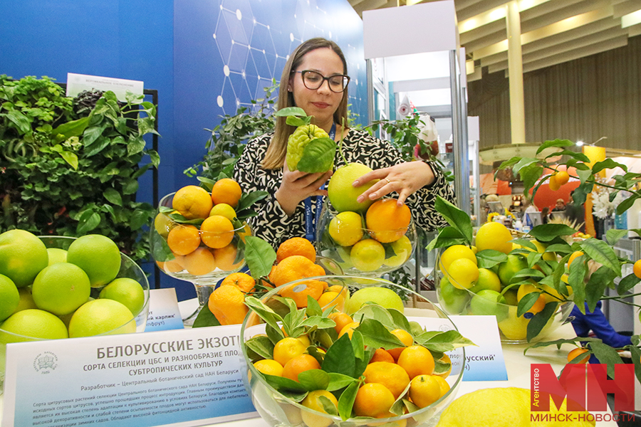 nauka tehnologii vystavka 24