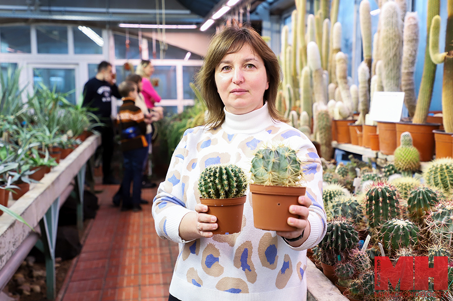 raznoe botanicheskij sad vystavka rastenij malinovskaya 10 kopiya