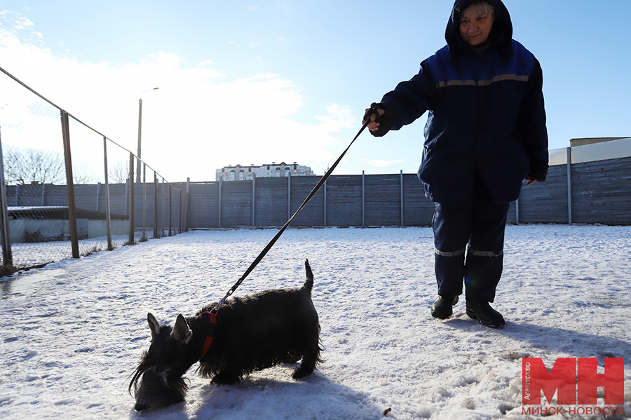 raznoe pitomczy fauna goroda malinovskaya 14 kopiya