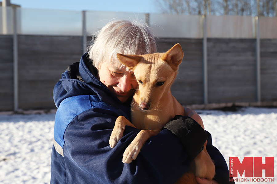 raznoe pitomczy fauna goroda malinovskaya 4 kopiya