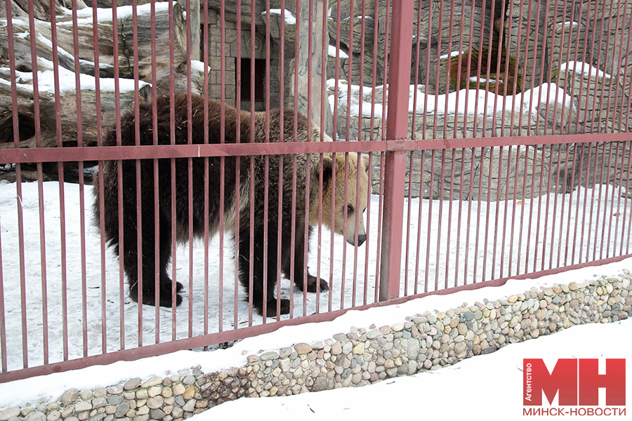 raznoe zoopark malinovskaya 22 kopiya