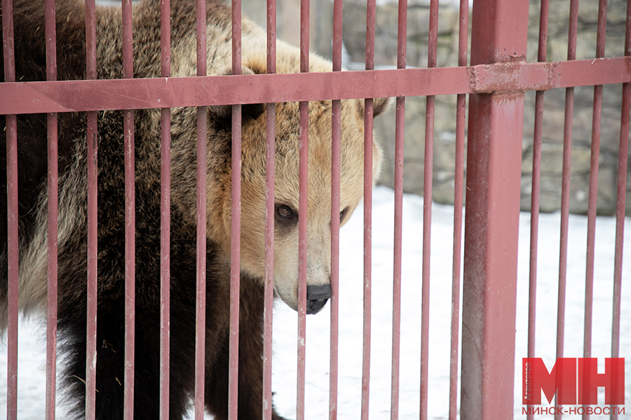 raznoe zoopark malinovskaya 23 kopiya