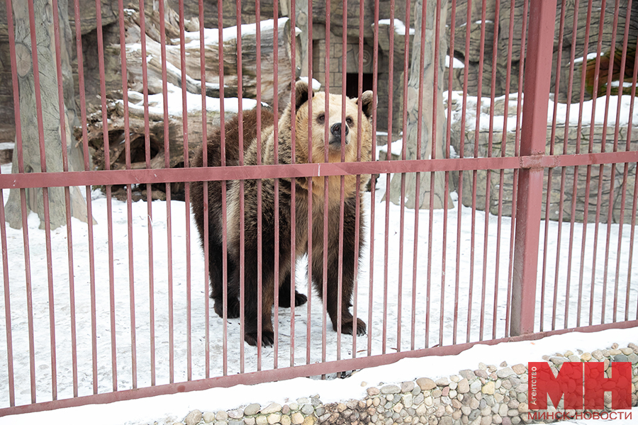 raznoe zoopark malinovskaya 24 kopiya