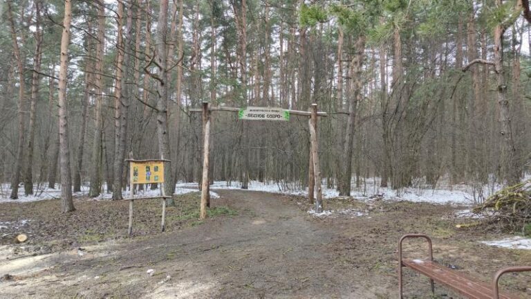 foto ispolnitelya ul. lesoparkovaya