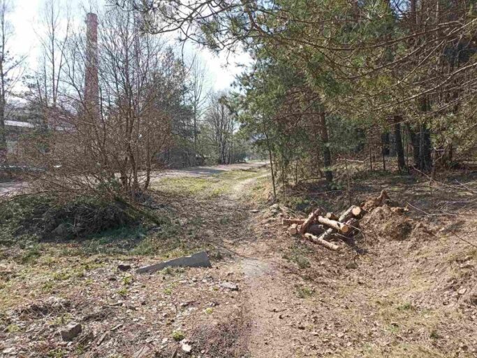 foto ispolnitelya ul. skariny