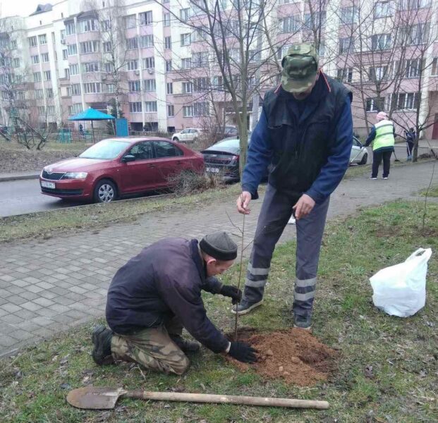 zelenyj dvor 50 let pobedy
