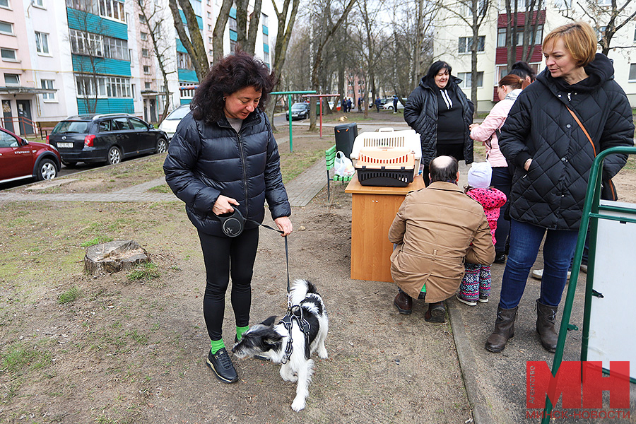 zhkh – subbotnik na rokossovskogo107 09 kopiya