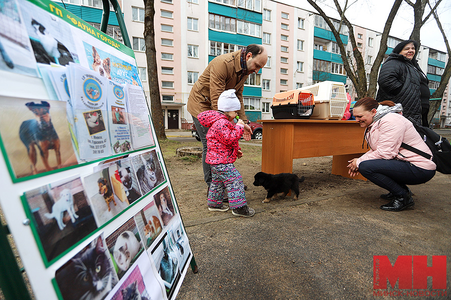 zhkh – subbotnik na rokossovskogo107 13 kopiya