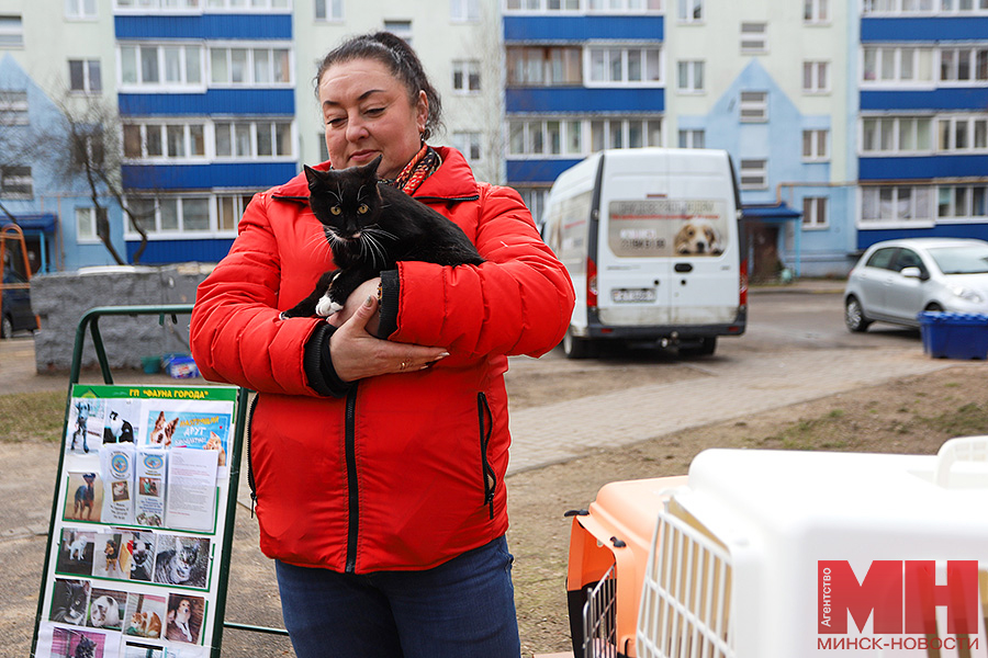 zhkh – subbotnik na rokossovskogo107 19 kopiya